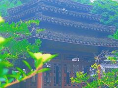 -韩湘水博园