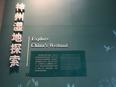 -中国湿地博物馆