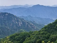 -大岭沟猕猴桃谷风景区
