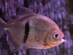 -多彩贵州城极地海洋世界