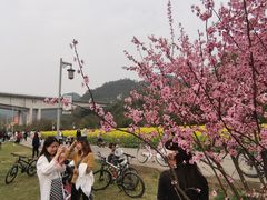 -贵阳市花溪国家城市湿地公园