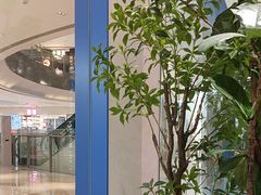 -天真蓝照相馆(杭州滨江宝龙店)