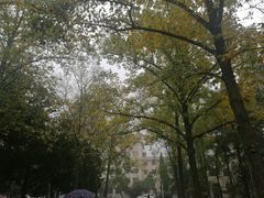 -南京林业大学-图书馆