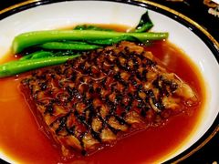 -西郊5号·Maggie 5