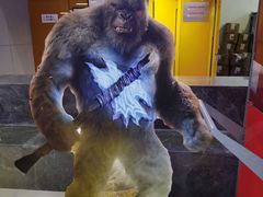 -万达影城(湛江万达广场IMAX店)