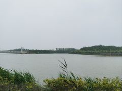 -塘沽森林公园
