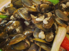 炒大头-肥信潮菜(科新路店)