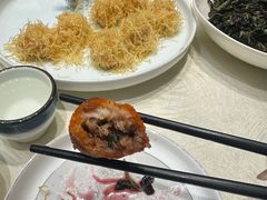 -丁老爷子苏香圆