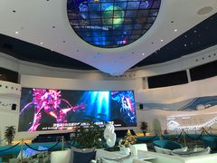 -星光岛