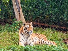 -海南热带野生动植物园