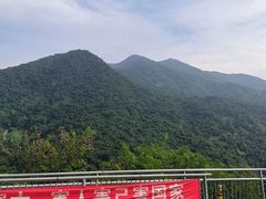 -梧桐山风景名胜区