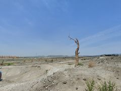 -黑油山景区