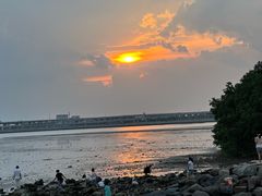 -宝安西湾红树林湿地公园