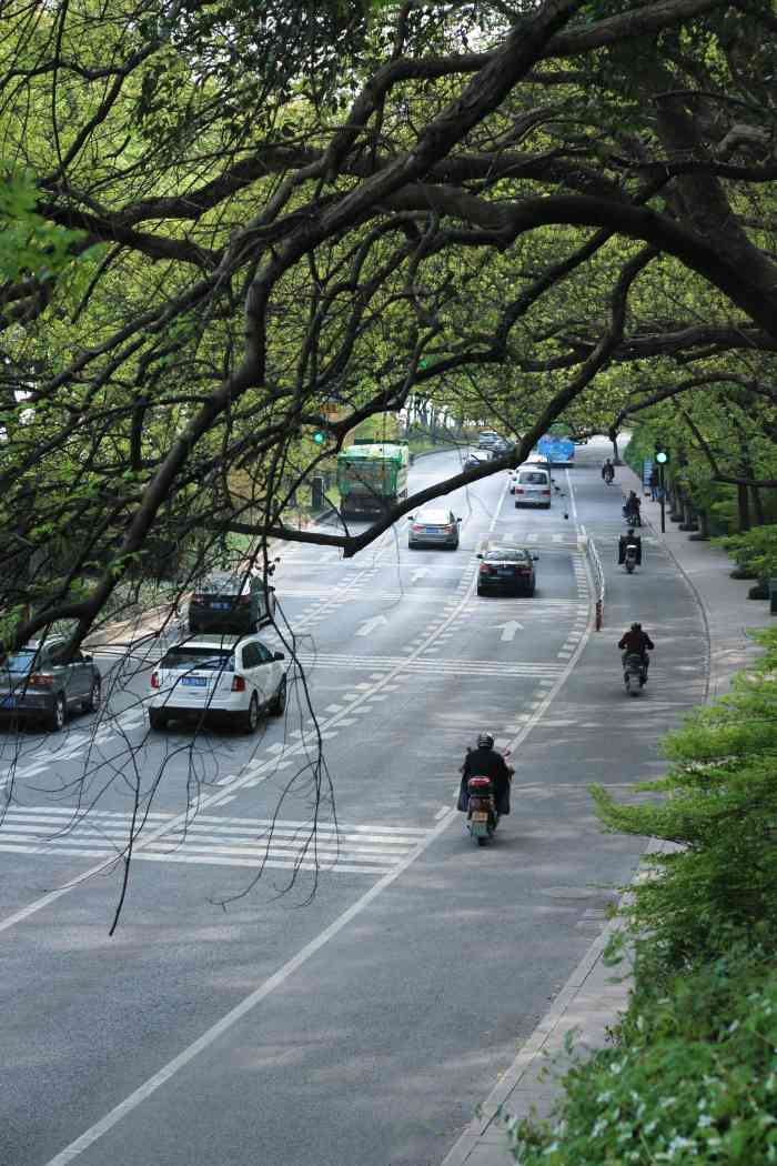 钱塘江大桥"位置:杭州市之江路与文涛路之间 钱-大众点评移动版