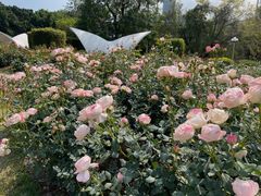 -人民公园(罗湖区)