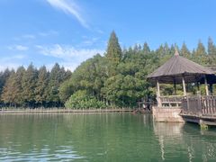 -乌镇景区