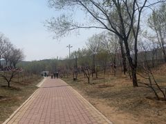 -白水寺森林公园