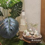 享受甜点与饮品~