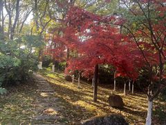 -南京市江宁方山