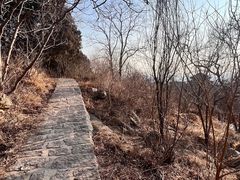 -北京凤凰岭