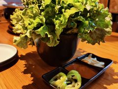 -四斤烤肉(东戴河孟家店)