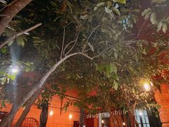 -Ocean's Table 欧舍