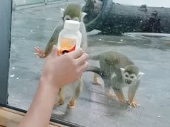 -西安秦岭野生动物园