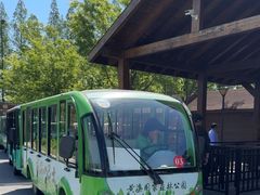 -黄海国家森林公园