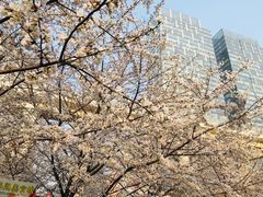 -康道天地(九六广场店)