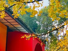 -成都武侯祠博物馆