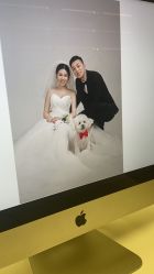 -花漾摄影优选工作室(东莞原创作品店)