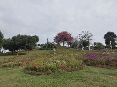 -东莞植物园