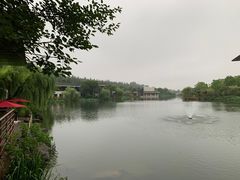 -上海怡沁园度假酒店