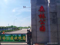 -塘沽森林公园