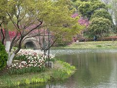 -圩墩遗址公园
