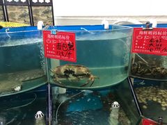 水产区-聚德福海鲜家常菜(刘庄店)