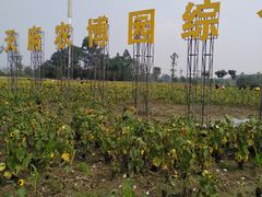 -中国天府农业博览园