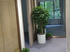 -绿雪芽白茶(浙大华家池校区凯旋路店)