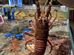 -渔傅·霞浦滩涂海鲜(建平店)