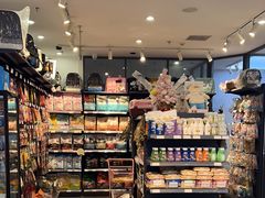 -萌兽医馆·眼科·异宠专科(三里屯店)