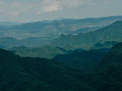 -栾川竹海野生动物园