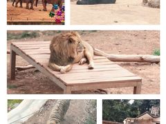 -昆明动物园