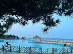 -日照海滨国家森林公园