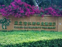 -三亚亚龙湾红树林度假酒店