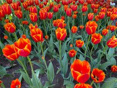 -长春公园(普阳街道)