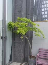 -MaisonFL·美颂法式专业美发艺术沙龙