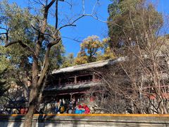 -潭柘寺景区