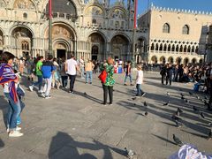 -圣马尔谷圣殿宗主教座堂