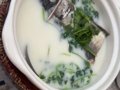 -紫藤园·天目湖大鱼头(南山竹海店)