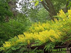 -西安市长乐公园